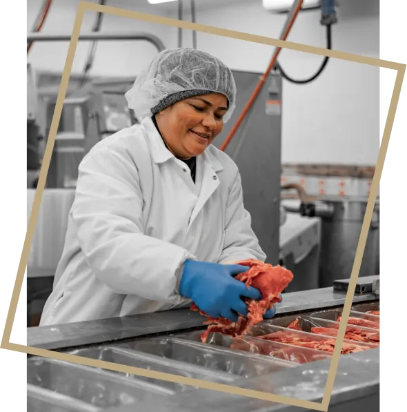 Handling portioned beef cuts in processing facility