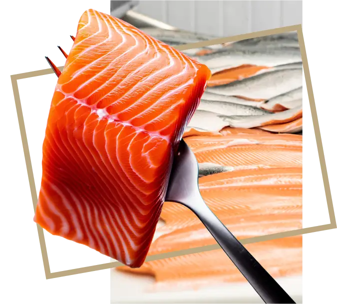 Fresh seafood fillet