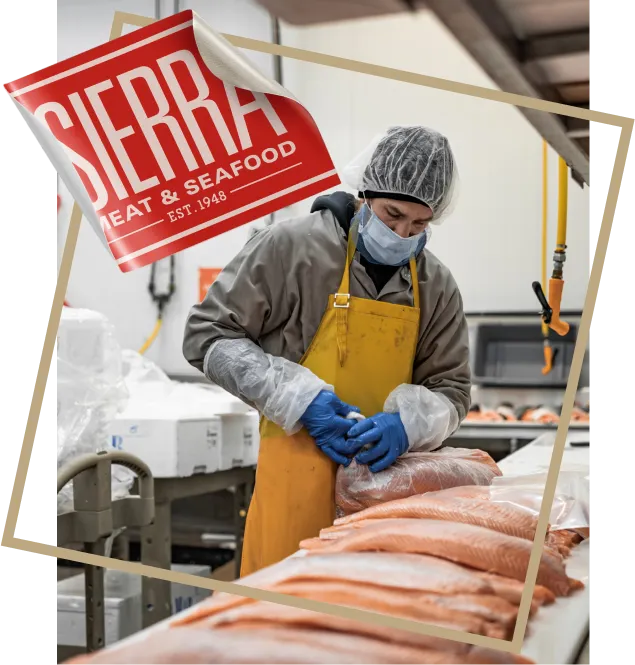 Equipo preparando filetes de salmón