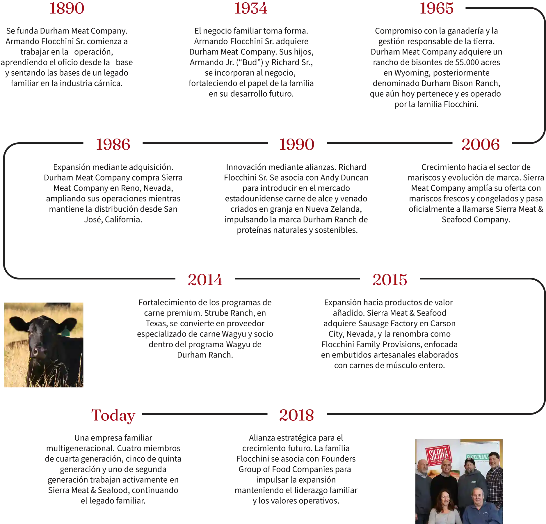 Gráfico de línea de tiempo de la historia de la empresa